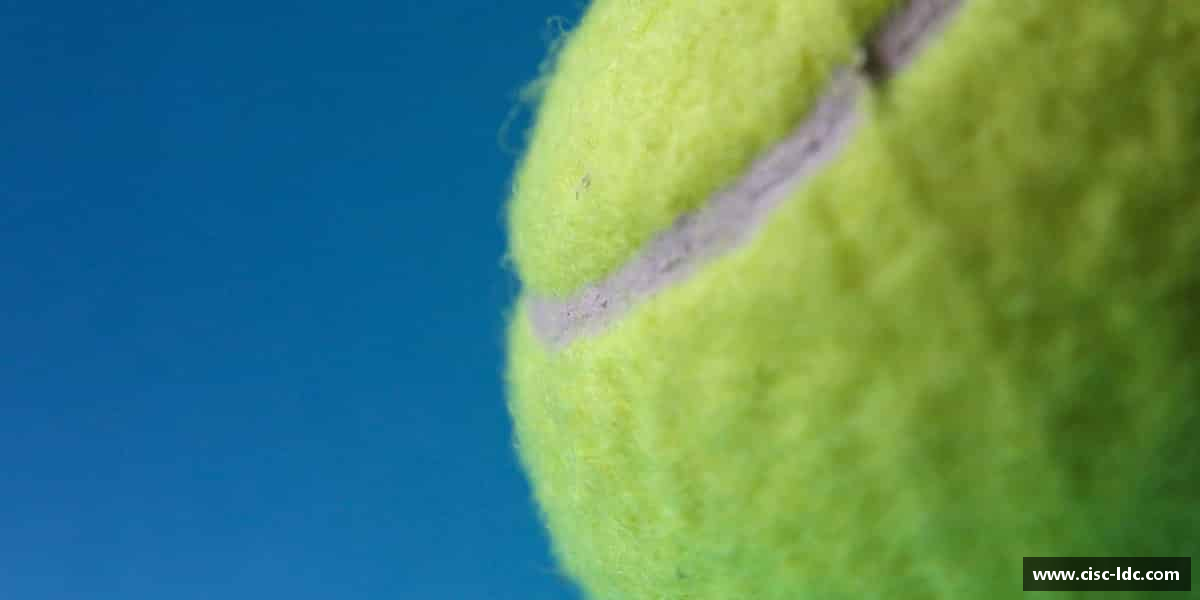 了解米兰体育AC Milan